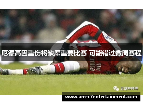 厄德高因重伤将缺席重要比赛 可能错过数周赛程